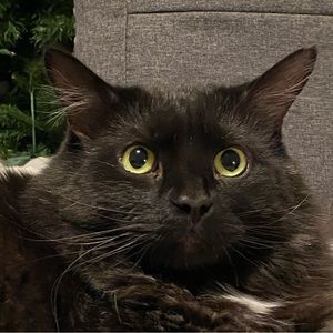 Meet your Posher, Kelly